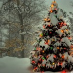 15 HD Christmas Tree Wallpapers for Windows 8